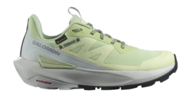 Walking shoe Salomon Women Elixir Activ GTX Celadon Green Glacier Gray '24Phantom