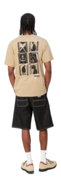 5---s-s-contact-sheet-t-shirt-sable-385 (2)-_no-bg