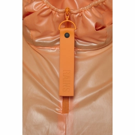 18760_orange_3
