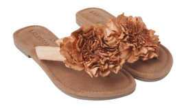 33.517-camel2_2000x2000-_no-bg