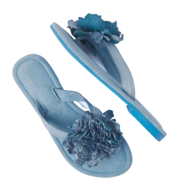 33.517-skyblue3_2000x2000-_no-bg