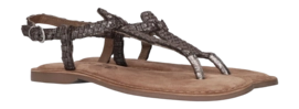 1200x452-_no-bg