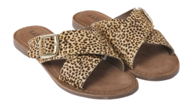 75.323-leopard2_2000x2000-_no-bg