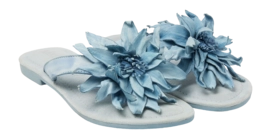 LA33734-blue2-_no-bg