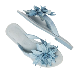 LA33734-blue3-_no-bg