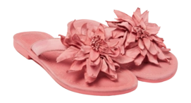 LA33734-coral2-_no-bg