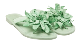 LA33734-green2-_no-bg
