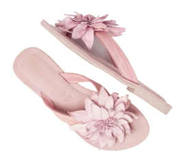 LA33734-pink3-_no-bg