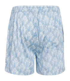 2---Jude_Tesse_Shorts_Zen_blue_101264_636_LR_PB1_P-_no-bg