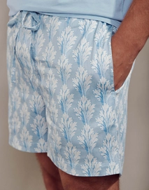 6---Jude_Tesse_Shorts_Zen_blue_101264_636_LR_D1_P