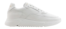 Sneaker Rehab Hedley Lthr Prf Herren White