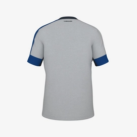 2---play-tech-t-shirt-men-royalblue-grey (1)