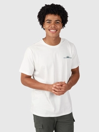 5---2411100127-1001-2
