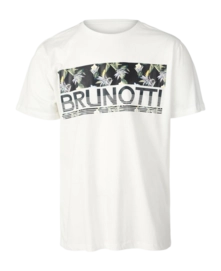 T-Shirt Brunotti Homme Nature-Block Snow