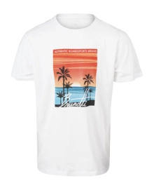 T-Shirt Brunotti Homme Leeway White