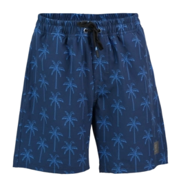 Maillot de Bain Brunotti Garçon Darminy Palmtree Blue