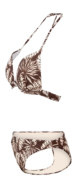 3---2412320319-1169-9-_no-bg