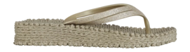 780-Platin-13-_no-bg