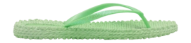 CHEERFUL01_495_2-_no-bg