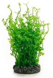 Aquariumplant Beeztees Plastic Lanigera