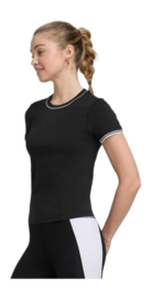 download - 2024-05-30T212328.995-_no-bg