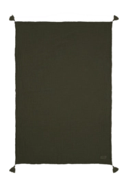 2---11.01_111-_no-bg