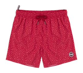 Maillot de Bain Colmar Homme 7269 Seabord Hermes Leaf