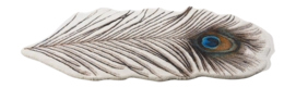 2---a47af485-2f74-4029-b82d-16228140e9dc-_no-bg