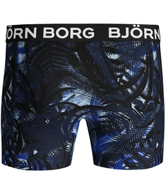 Boxershort Björn Borg Men Core LA Clouds & LA Palm Surf the Web (2-pack)