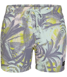 Swimming Trunks Björn Borg Sylvester BB LA Palm Honeydew