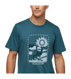 6---1200x1200png-S24MLlamaGreetingsTShirtBlueSpruce_5_1200x-_no-bg