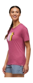 4---1200x1200png-S24WLlamaSequenceTShirtSangria_3_1200x-_no-bg