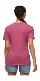 5---1200x1200png-S24WLlamaSequenceTShirtSangria_4_1200x-_no-bg
