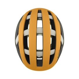 network-helmet_matteSunrise-Forest-Bone_TOP