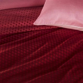 3---CONIMG_Virtual_Red-40_Detail_Large.jpg_20240212093526_12