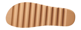 5---_oklKO7w-_no-bg
