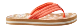 2---A5Y6bcqQ-_no-bg