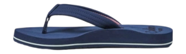 2---CI6677_LS-_no-bg