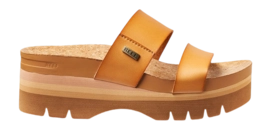 2---SaszFpkQ-_no-bg