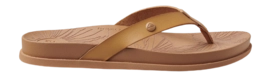 5---CJ2814_RS-_no-bg