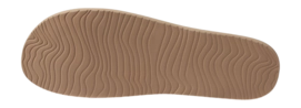 4---CJ3659_O-_no-bg
