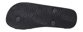 4---CJ4167_O-_no-bg