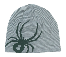 Bonnet Spyder Homme Reversible Innsbruck Hat Cypress Green