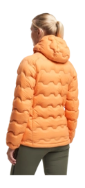 2---5017960_txlite-shibui-jacket-w-back_215_6-_no-bg