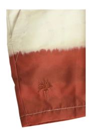 4---1158_e8fc731ebd-kids-vista-swim-shorts-01-5001-312-65-d-original-_no-bg