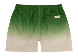 5---1026_cfd3cea2d5-beach-grade-swim-shorts-5001-302-b-original-_no-bg