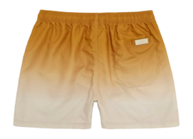 4---1027_8f1d0216a2-evening-grade-swim-shorts-5001-303-b-original-_no-bg