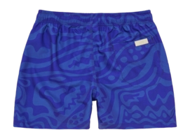 6---1040_f18bc33c87-rapture-swimshorts-5001-317-25-b-original-_no-bg