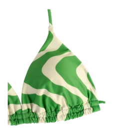 6---1079_bad7f7038f-green-rippling-azzura-bikini-top-6006-06-1-c-original-_no-bg
