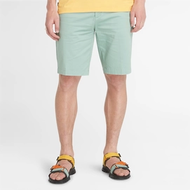2---Stretch-Twill-Chino-Shorts-for-Men-in-Pale-Green (1)